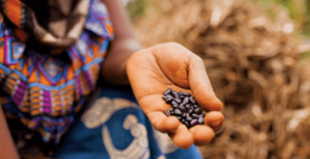 Skills Development in South Africa