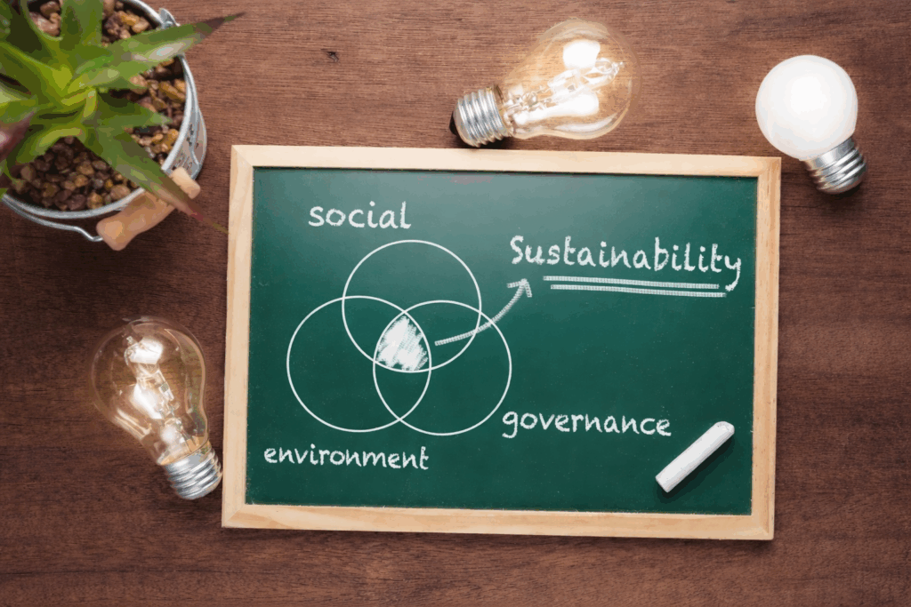 Social Sustainability Solutions: Building Stronger Communities and Responsible Businesses in South Africa – An Umsizi perspective